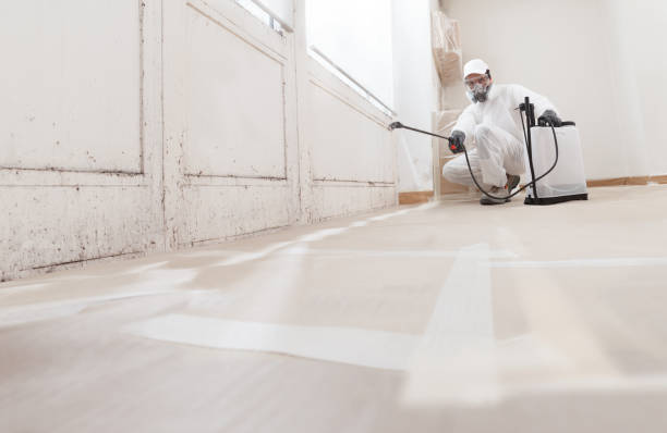 24/7 Emergency Commercial Mold Remediation experts in Easton, PA