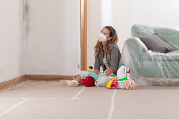 Reliable Commercial Mold Remediation contractor in Easton, PA by WQB Mold Removal