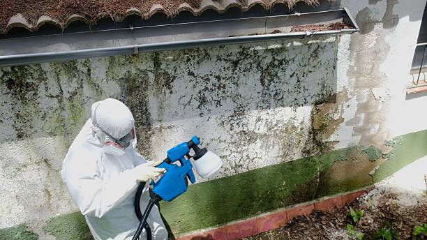 Top rated local Commercial Mold Remediation specialists in Easton, PA